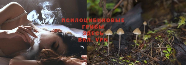 СК Волоколамск