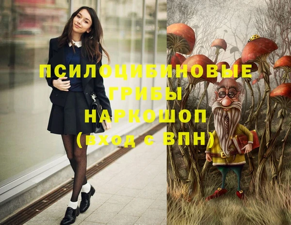 СК Волоколамск