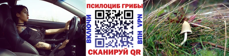 Псилоцибиновые грибы Magic Shrooms  Ухта 