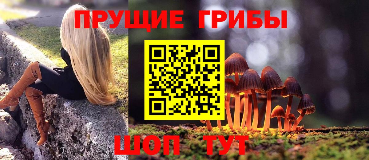 Галлюциногенные грибы Psilocybine cubensis Ухта