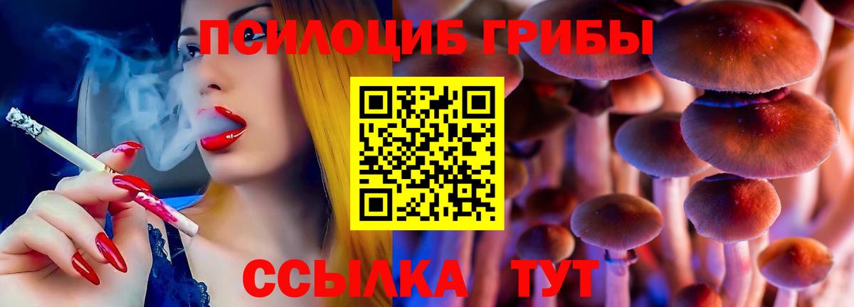 что такое   Галлюциногенные грибы MAGIC MUSHROOMS  Вход с VPN  Ухта  Псилоцибиновые грибы Psilocybe 